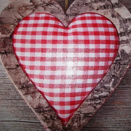 Schroeder - Harzblick *